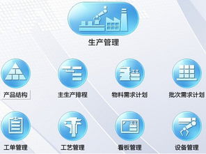 軟件開發(fā)中六西格瑪管理咨詢過程頭腦風(fēng)暴法的實(shí)施